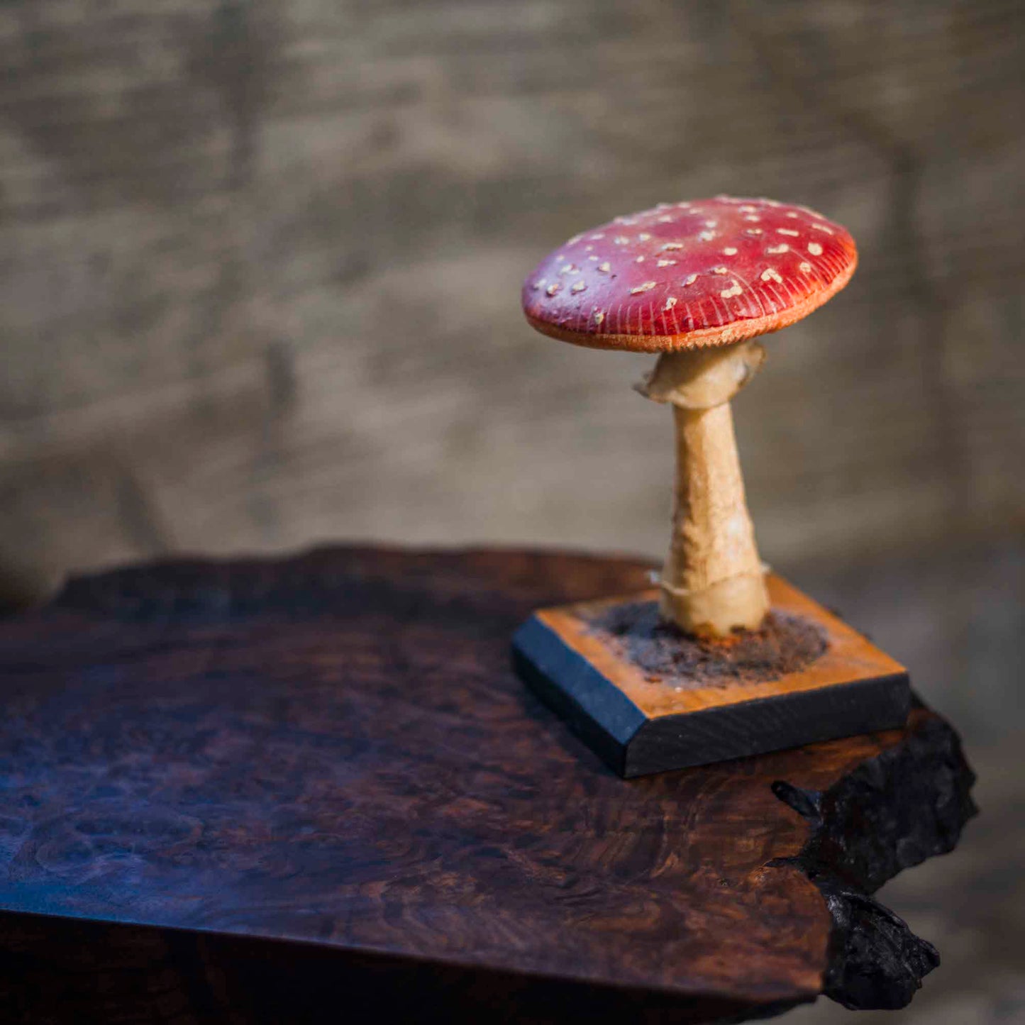 Shoji Morinaga Claro Walnut VOID TABLE